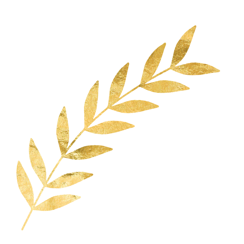 gold-leaves-png-8 gold-leaves-png-8